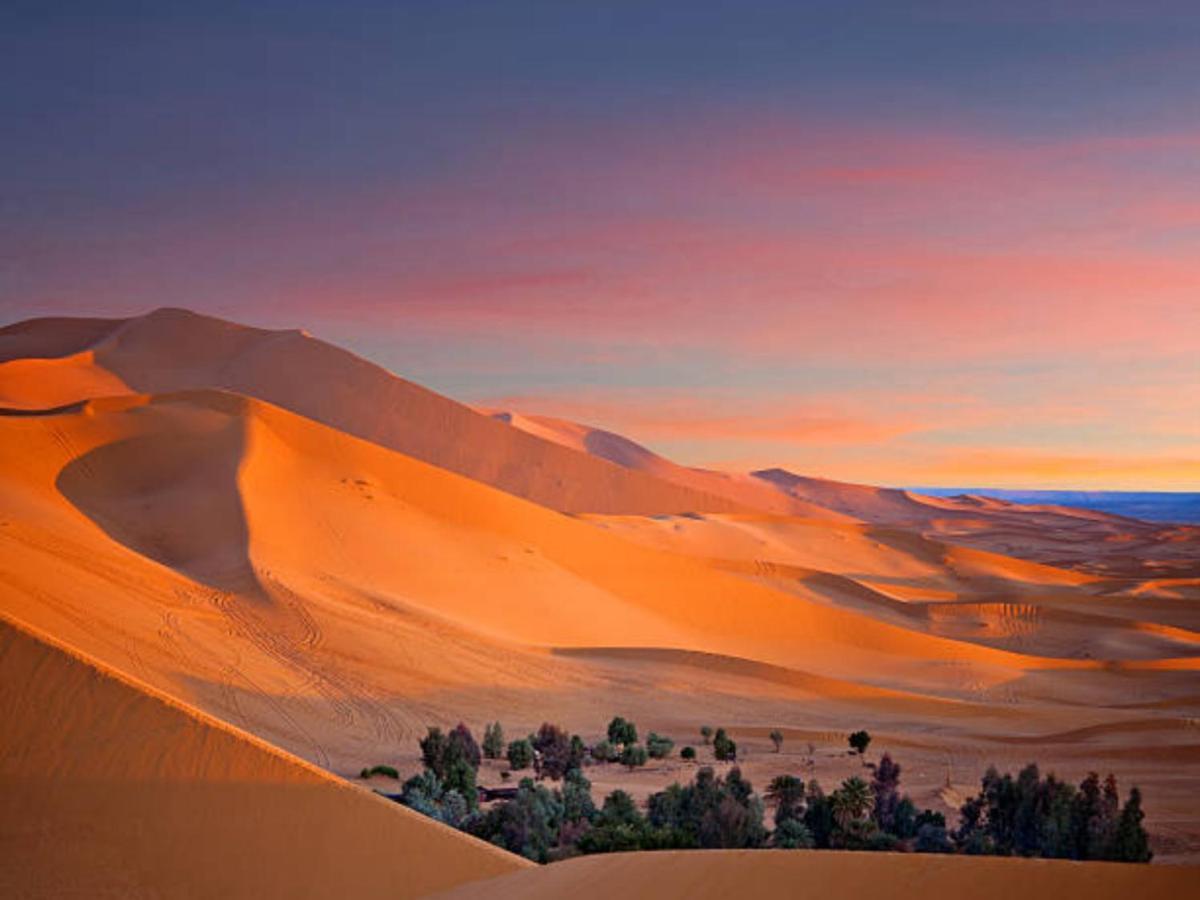 Desert Paradise Luxury Camp Merzouga Exterior foto